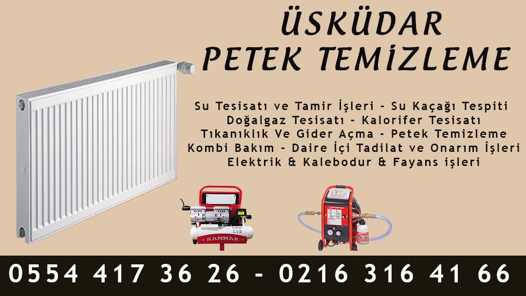 Üsküdar Petek Temizleme