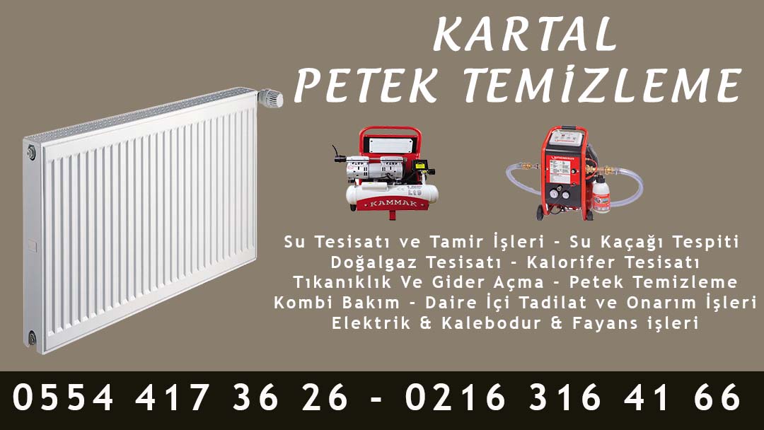 Kartal Petek Temizleme