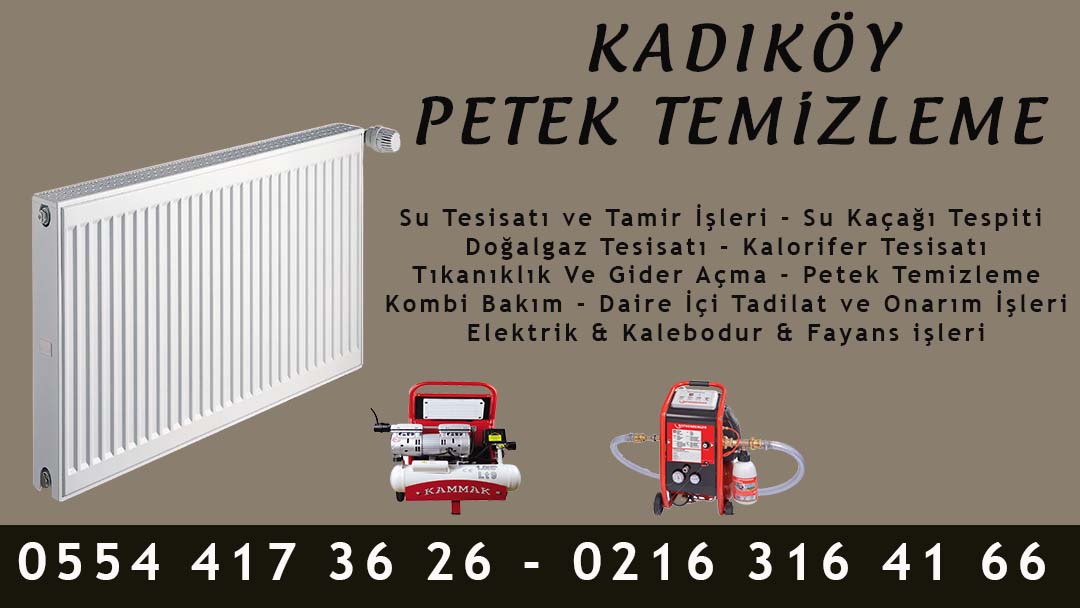 Kadıköy Petek Temizleme