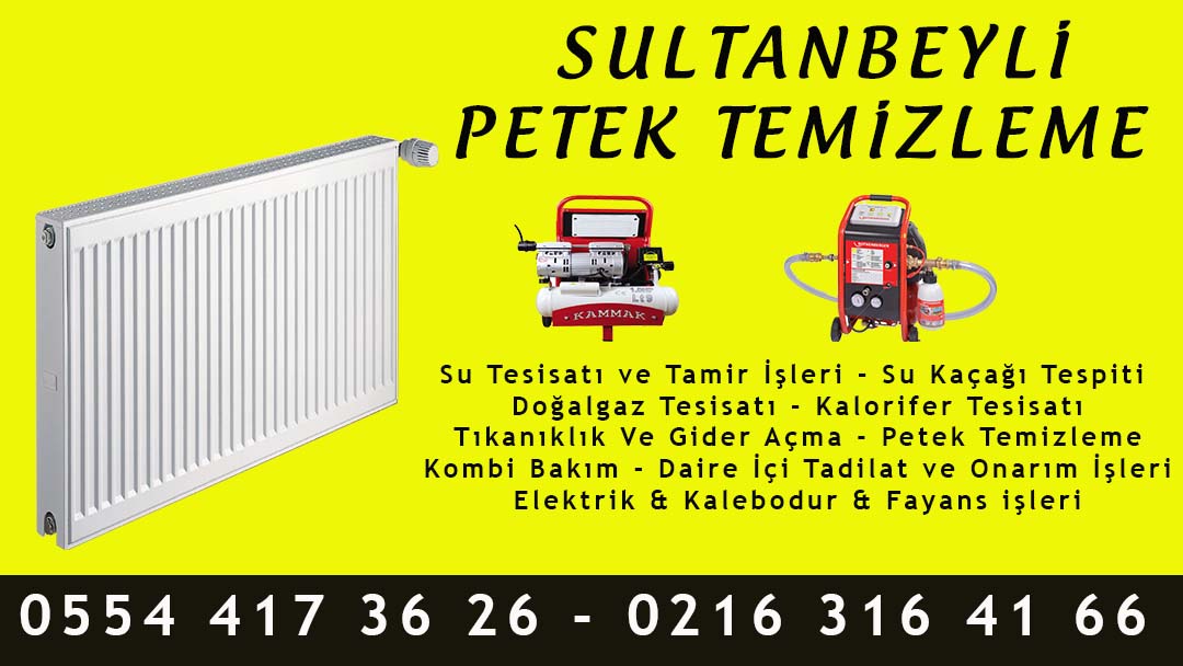 Sultanbeyli Petek Temizleme