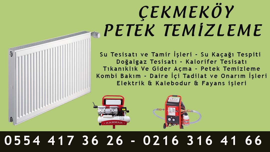 Çekmeköy Petek Temizleme