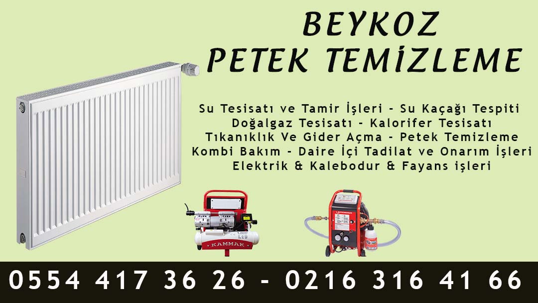 Beykoz Petek Temizleme