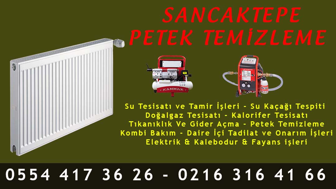 Sancaktepe Petek Temizleme
