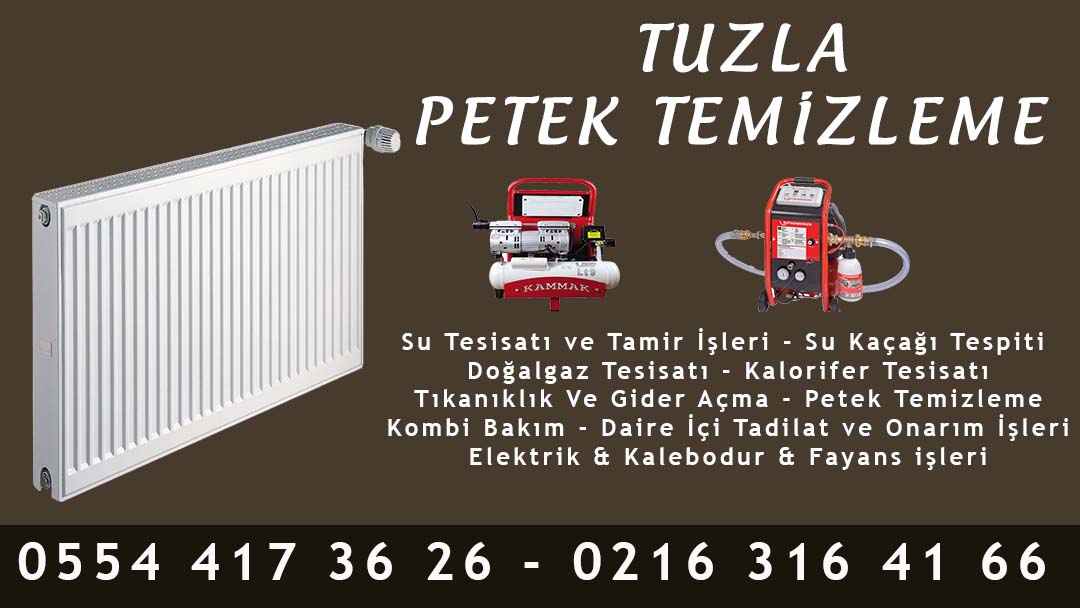 Tuzla Petek Temizleme