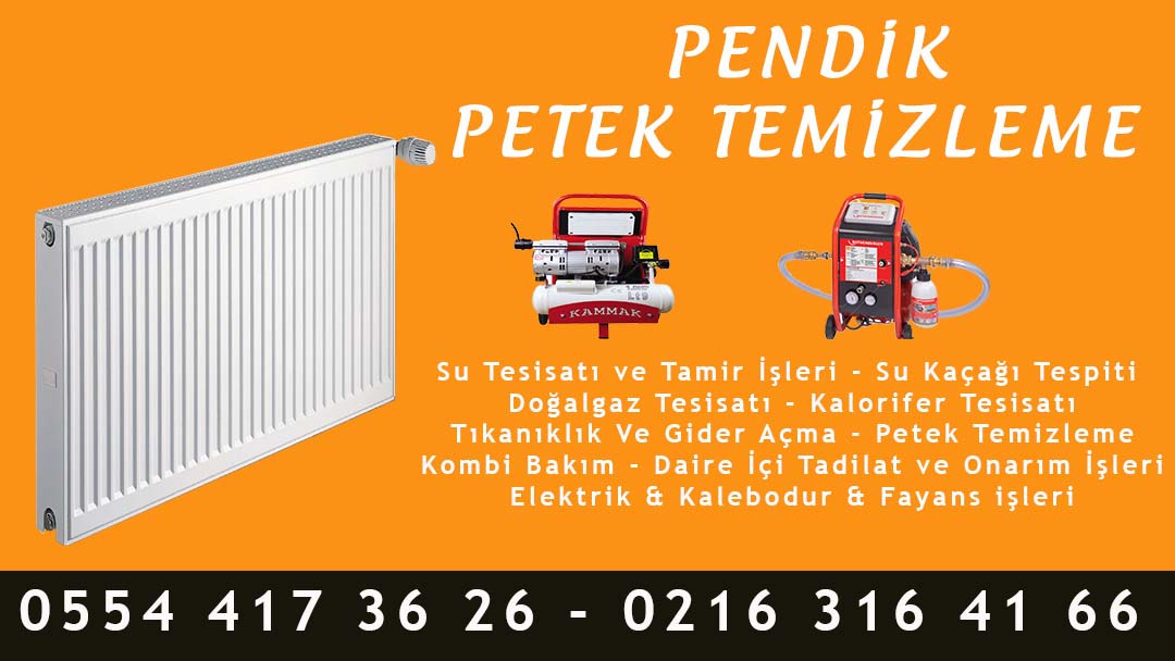 Pendik Petek Temizleme