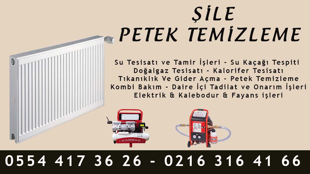 Şile Petek Temizleme