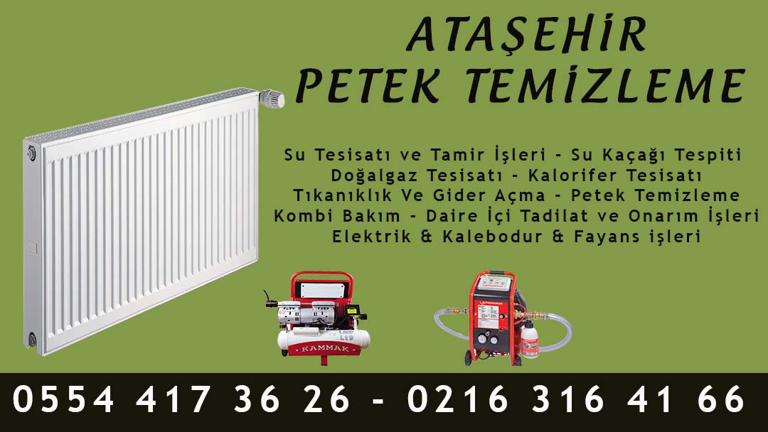 Ataşehir Petek Temizleme